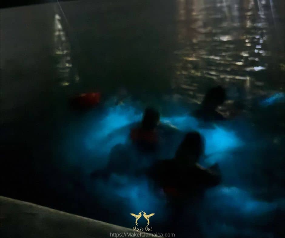 Blue glow while swimming on Falmouth Mystic Lagoon Tour on the Luminous Lagoon Jamaica