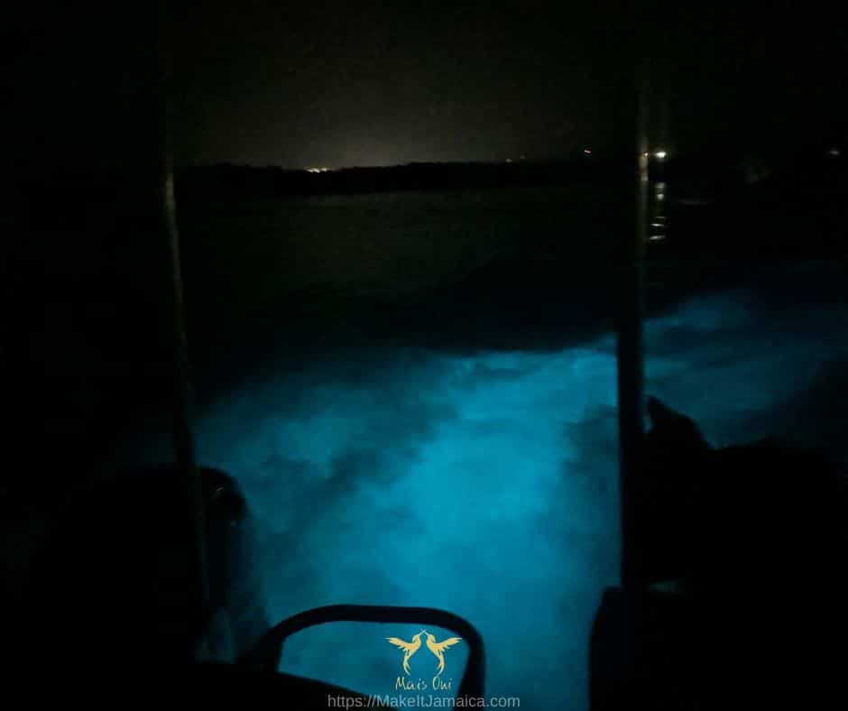 view for the back of the boat on the Falmouth Mystic Lagoon Tour on the Luminous Lagoon Jamaica