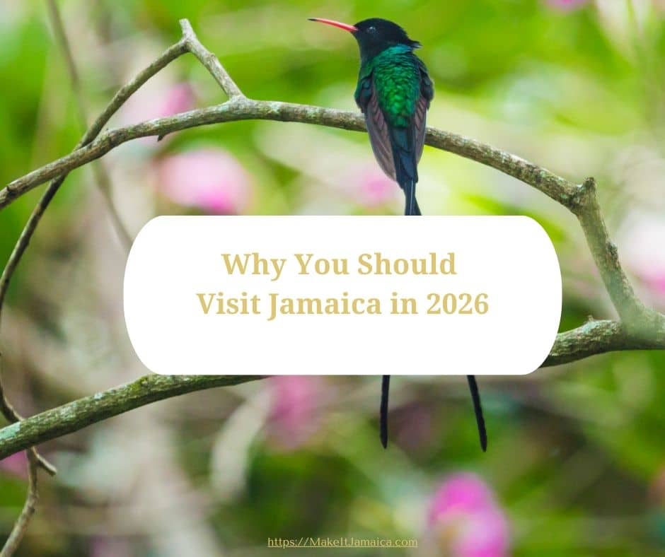 hummingbird with caption Why You Should Visit Jamaica in 2026