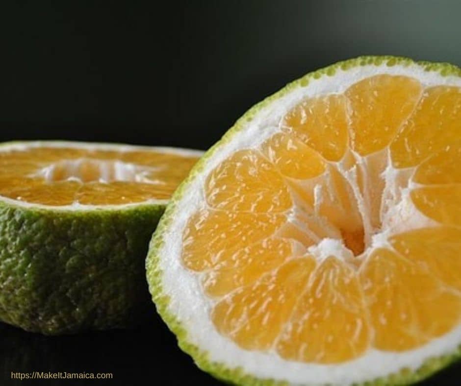 sliced orange - fruits in season in Jamaica