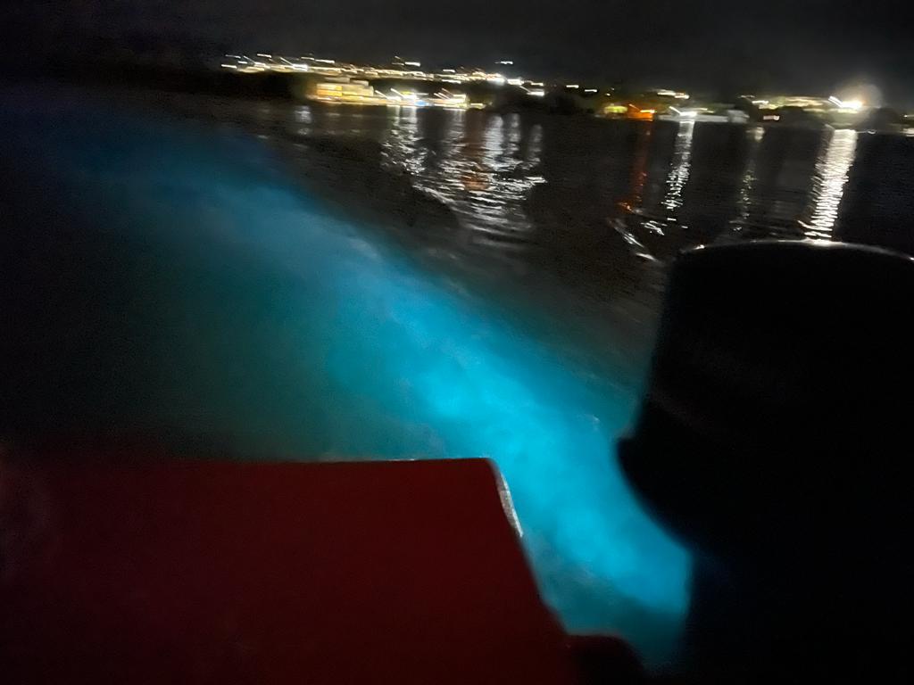 Luminous Lagoon Glistening Waters one of the few bioluminescent bays in the world a short drive from Mais Oui Villa in Discovery Bay