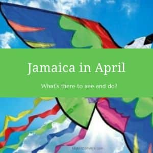 Kite flying Jamaica in April in Discovery Bay Jamaica