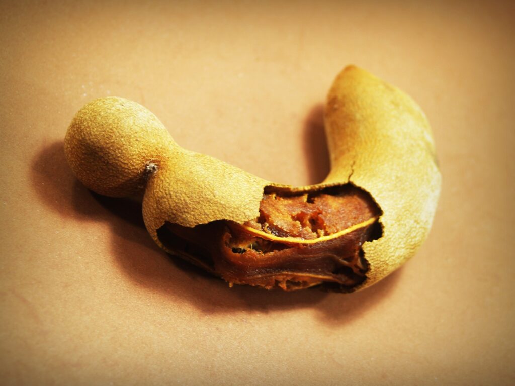 Tamarind