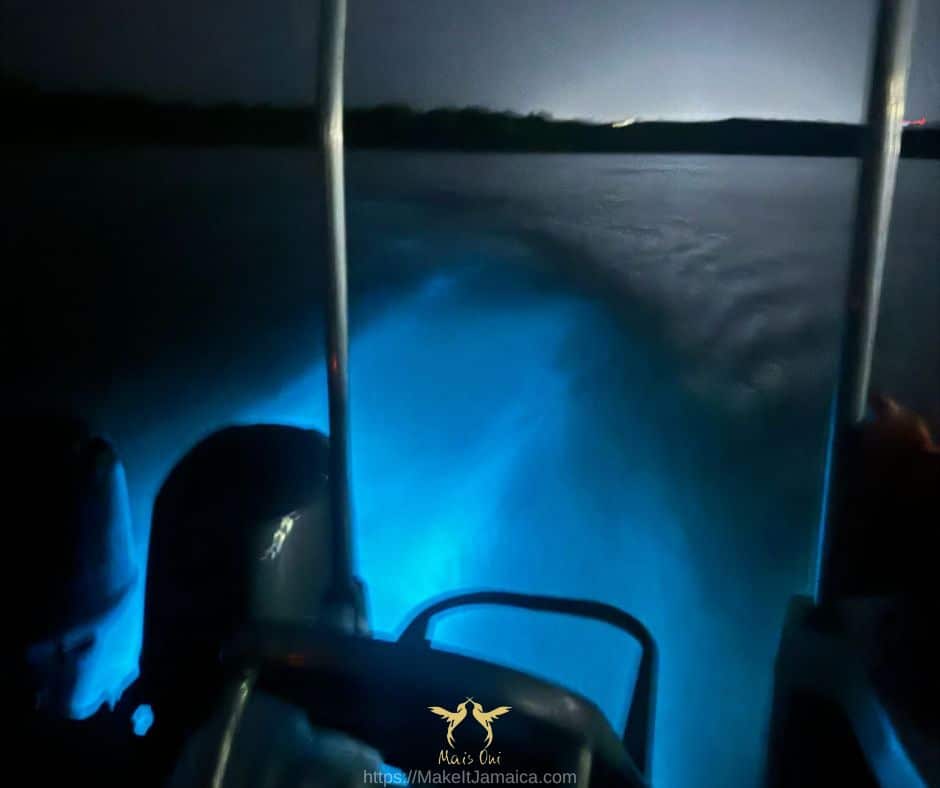 Glow of the water on Falmouth Mystic Lagoon Tours on the Luminous Lagoon Jamaica