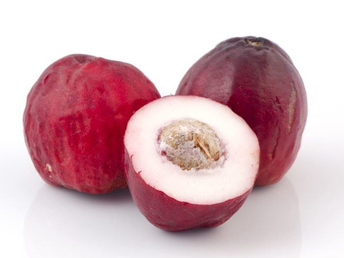 Jamaican fruits in season - Otaheiti apple - for you to try when you are on your Jamaica family vacation
