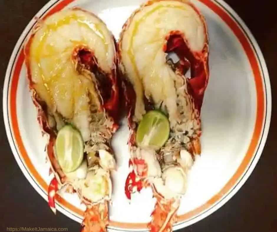 Spiny lobster in Jamaica