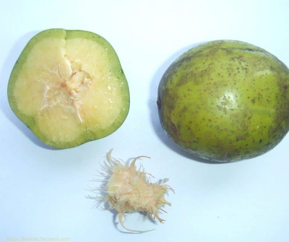 June plum - fruits in season in Jamaica