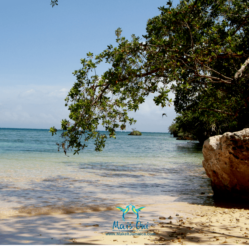 Beach near Mais Oui Villa in Discovery Bay Jamaica a place to stay in Discovery Bay Jamaica