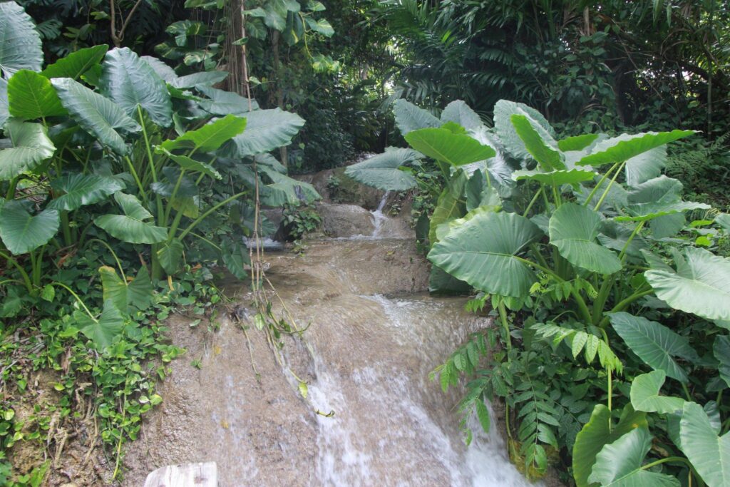 Konoko Falls, Ocho Rios, Jamaica about an hour from Mais Oui Villa in Discovery Bay Jamaica
