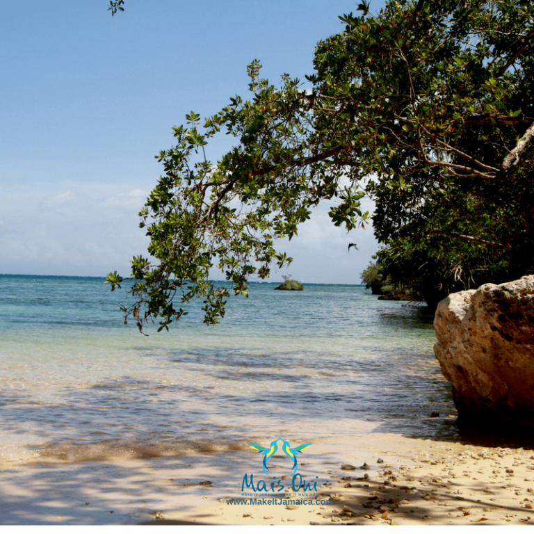 Little Beach near Mais Oui Villa in Discovery Bay Jamaica