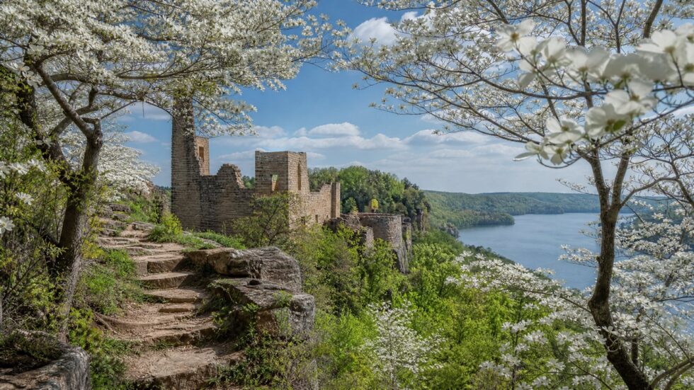 Ha Ha Tonka State Park castle ruins overlooking Lake of the Ozarks framed by blooming dogwood branches