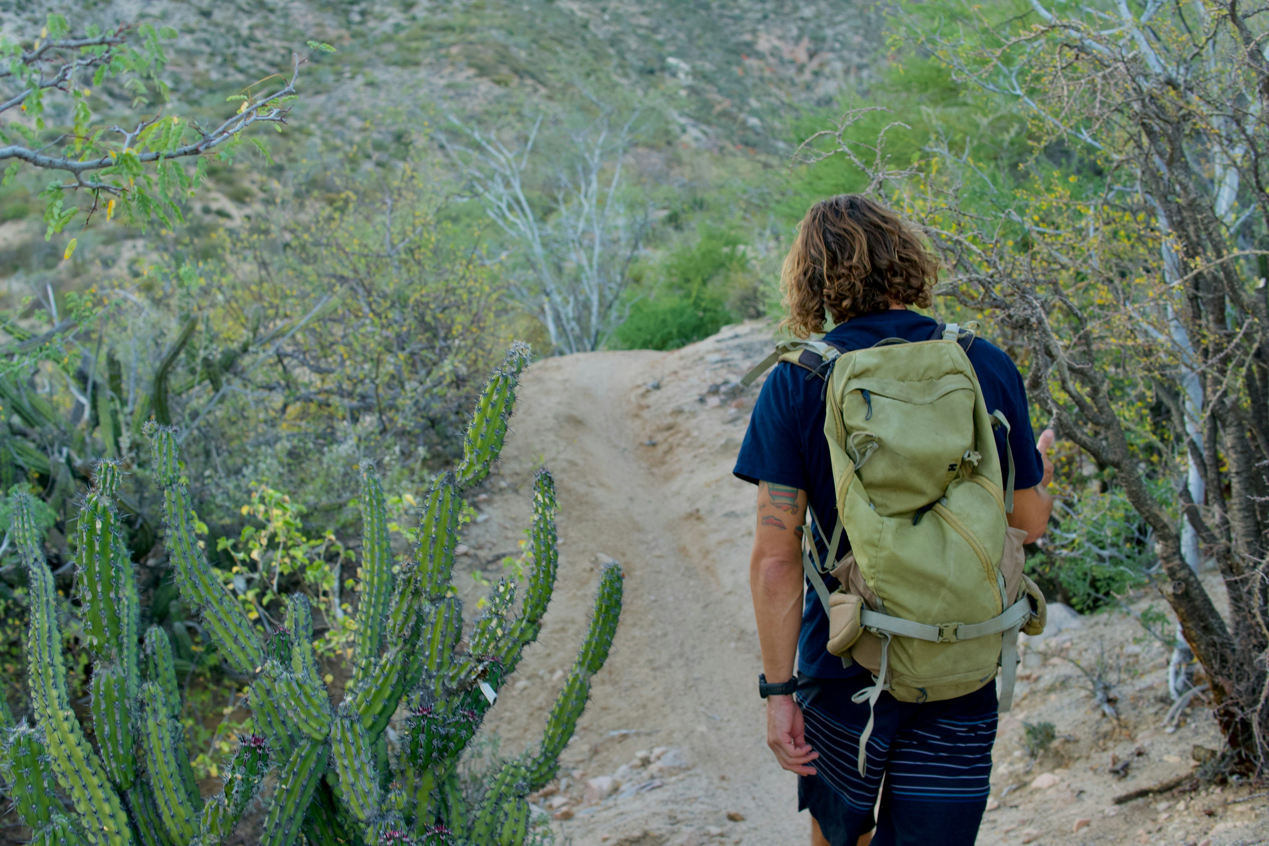 Senderista en un sendero desértico entre cactus altos, con montañas y el mar a lo lejos