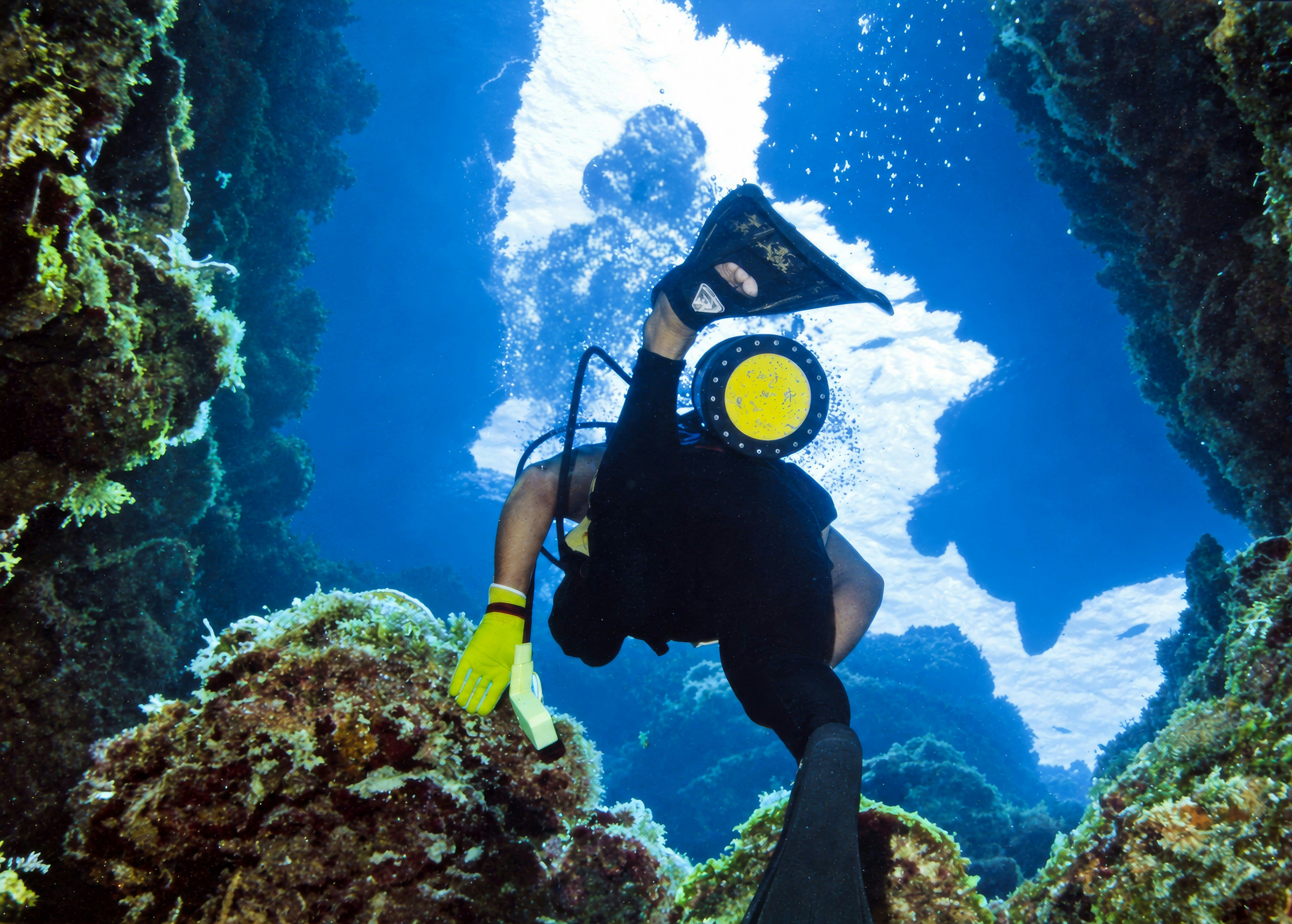 Buceador que asciende junto a una alta columna de coral en aguas azules y cristalinas