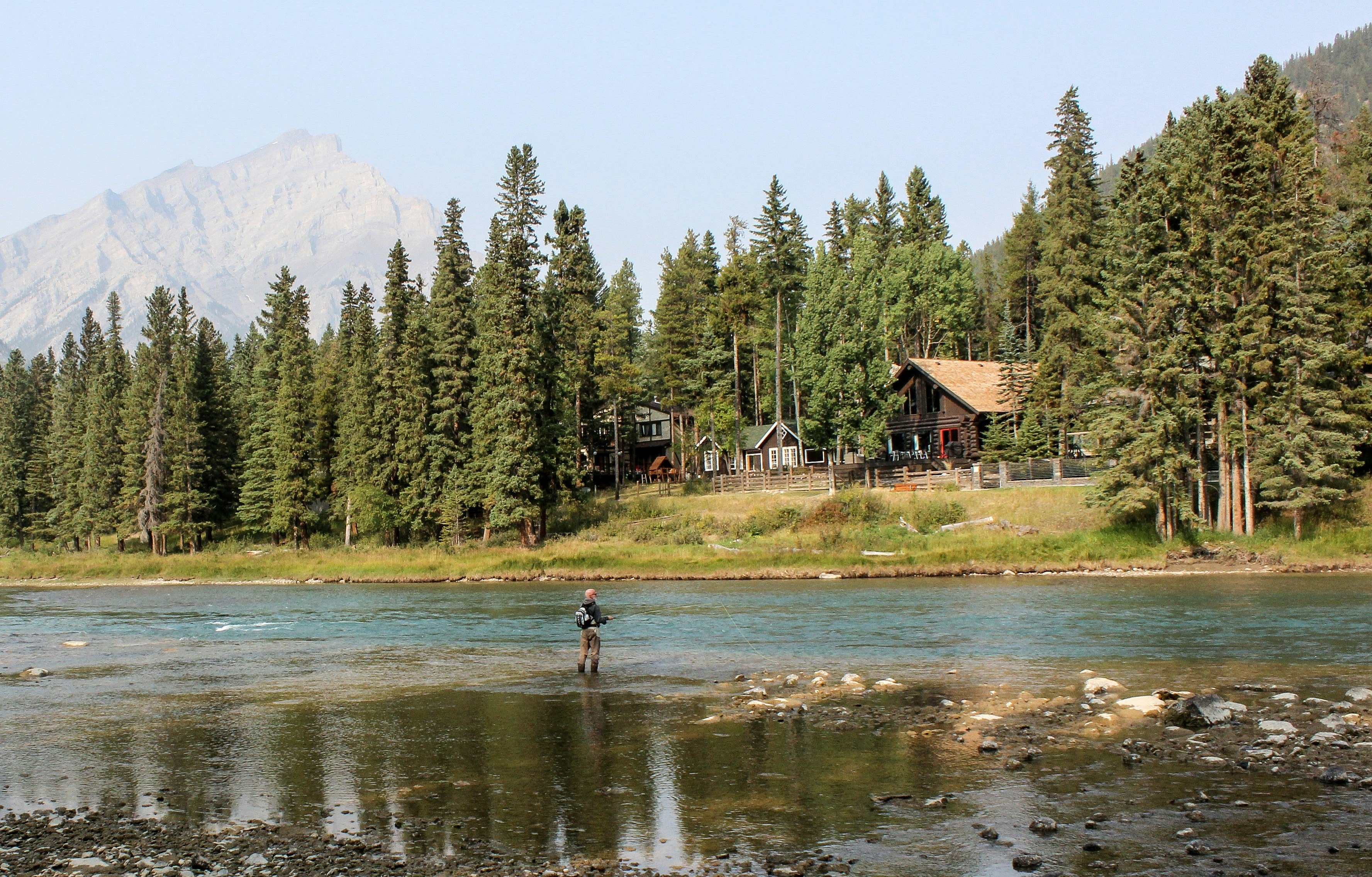 Angler wading a mountain river with pine forest and peaks behind
