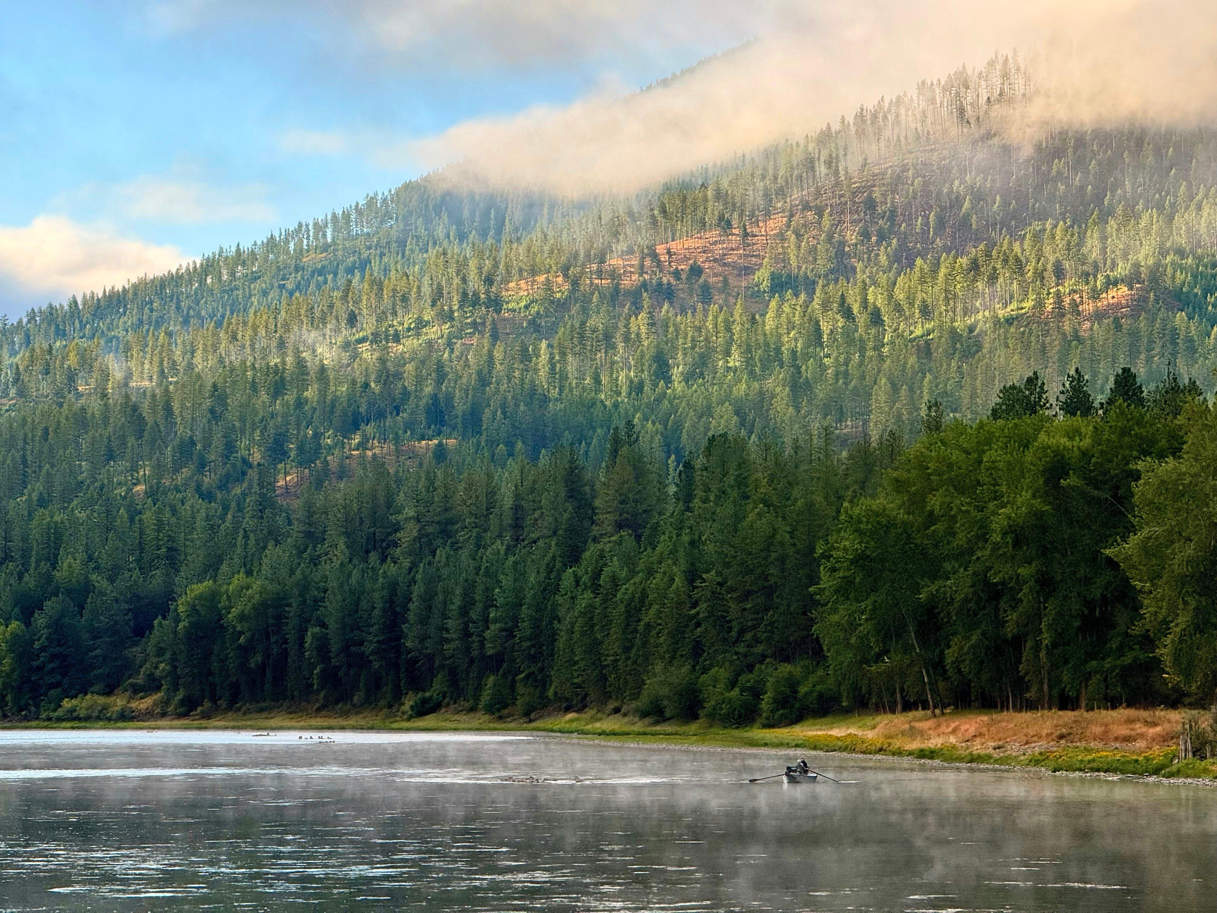 Misty pine-forested lake at dawn with fishing boat on calm water