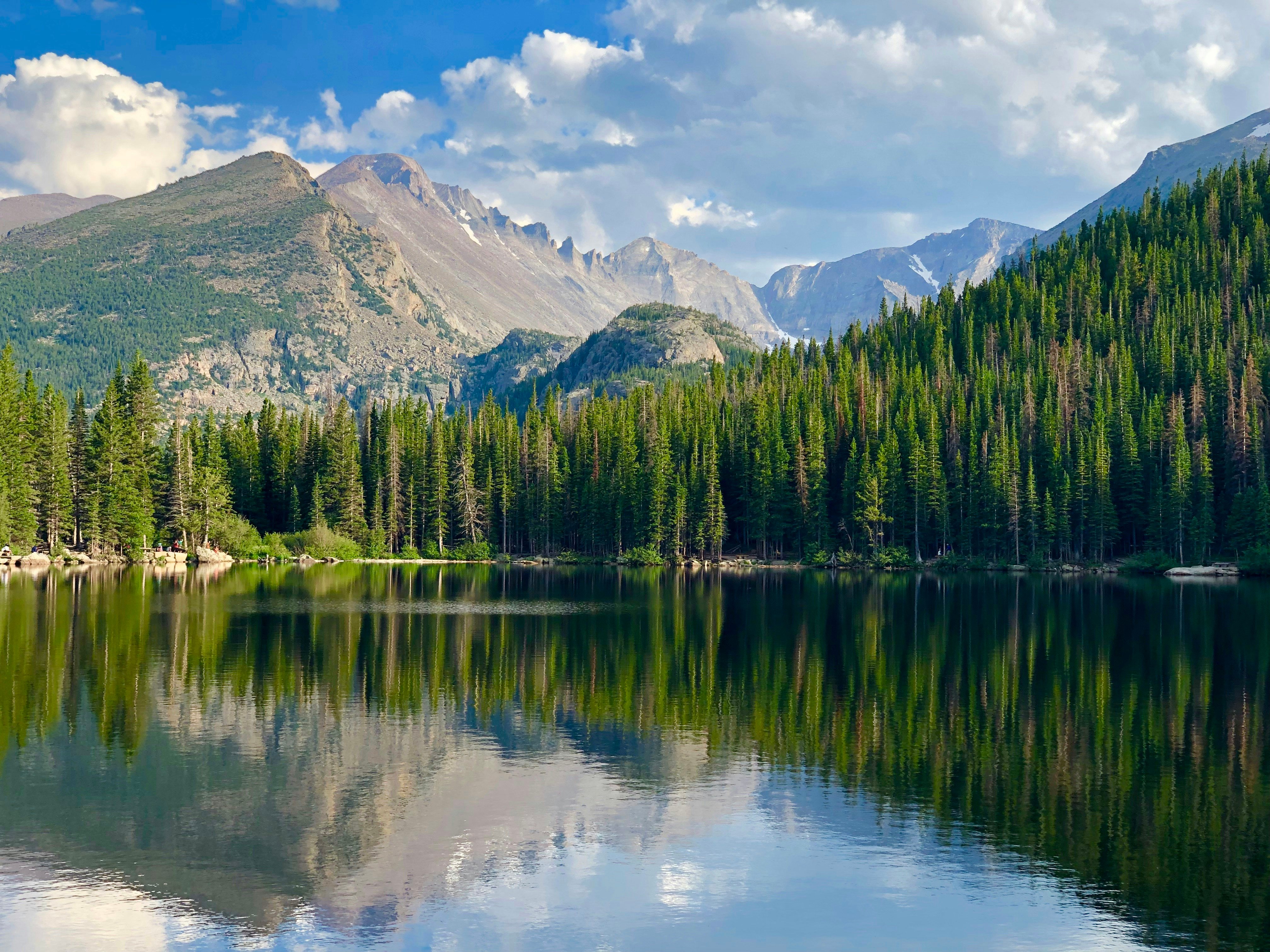 Pine-ringed mountain lake with calm reflections