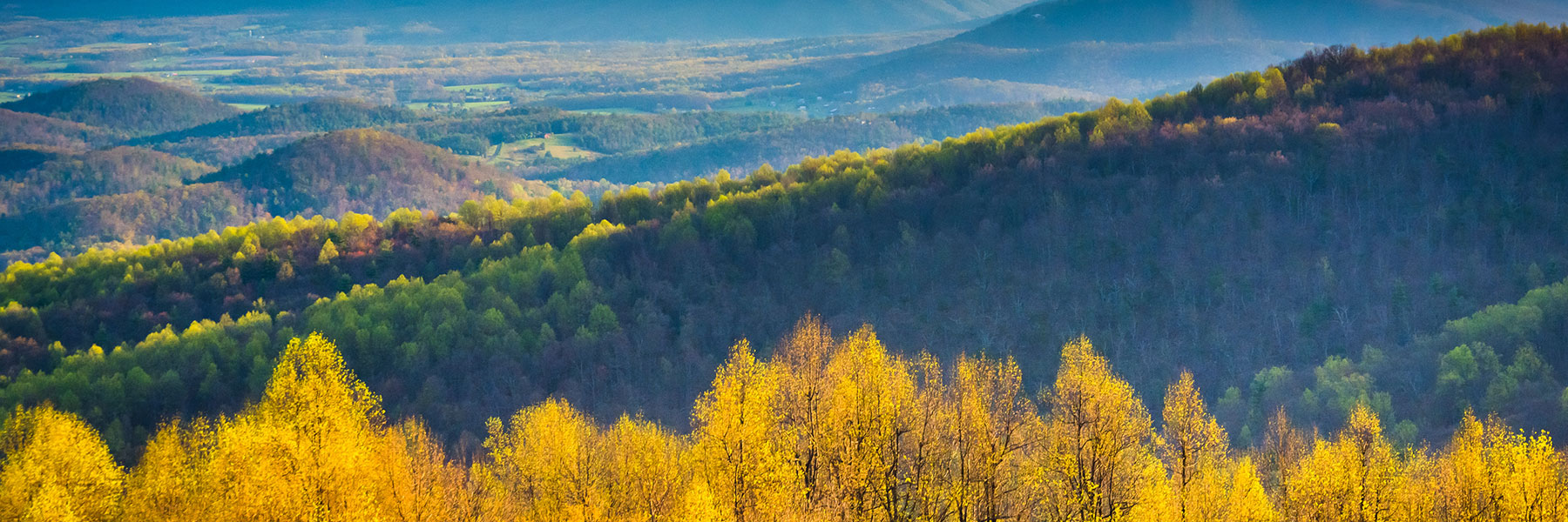 The fall colors in the Blue Ridge Mountains
