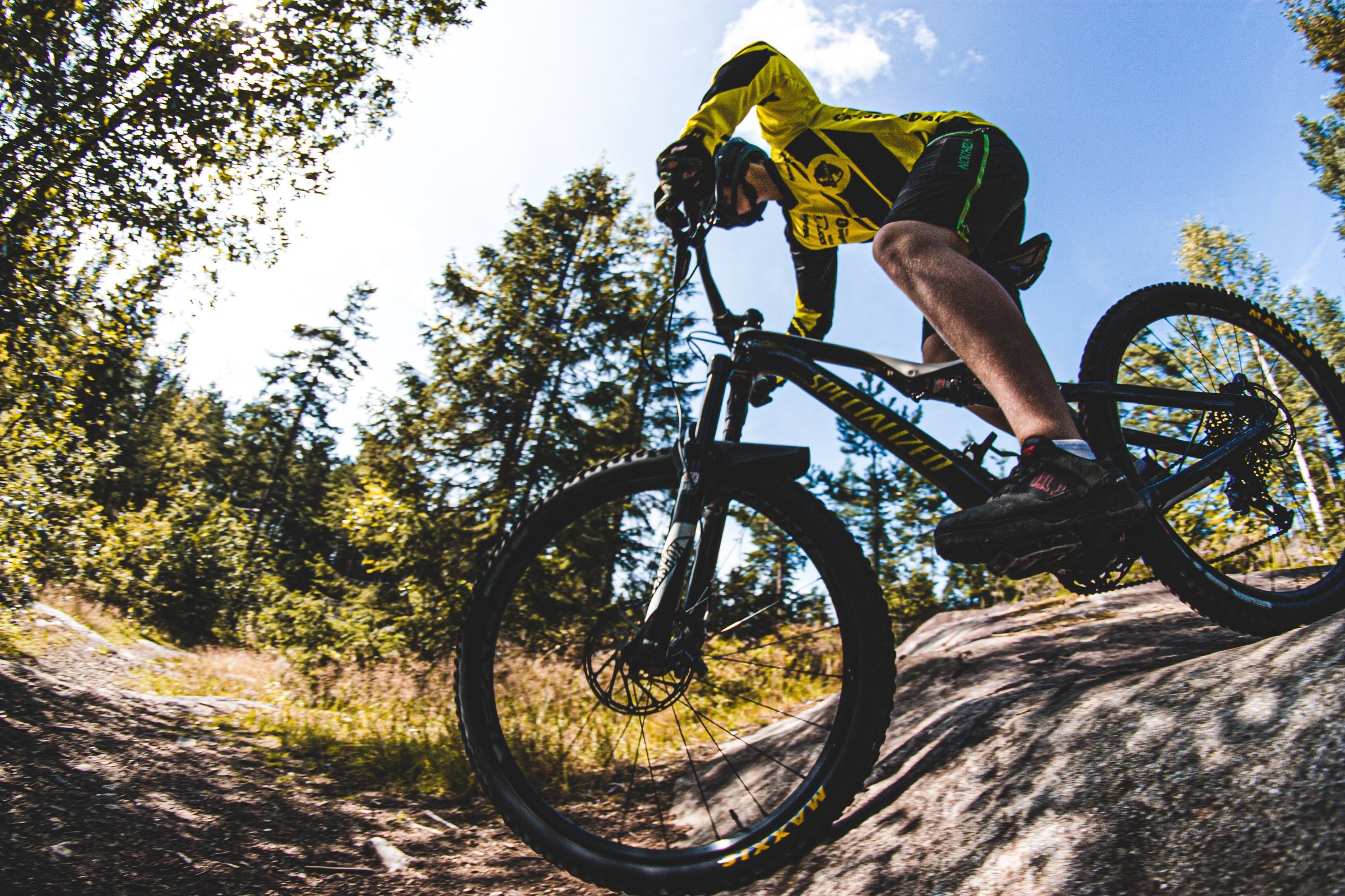 Cavalier MTB Classic