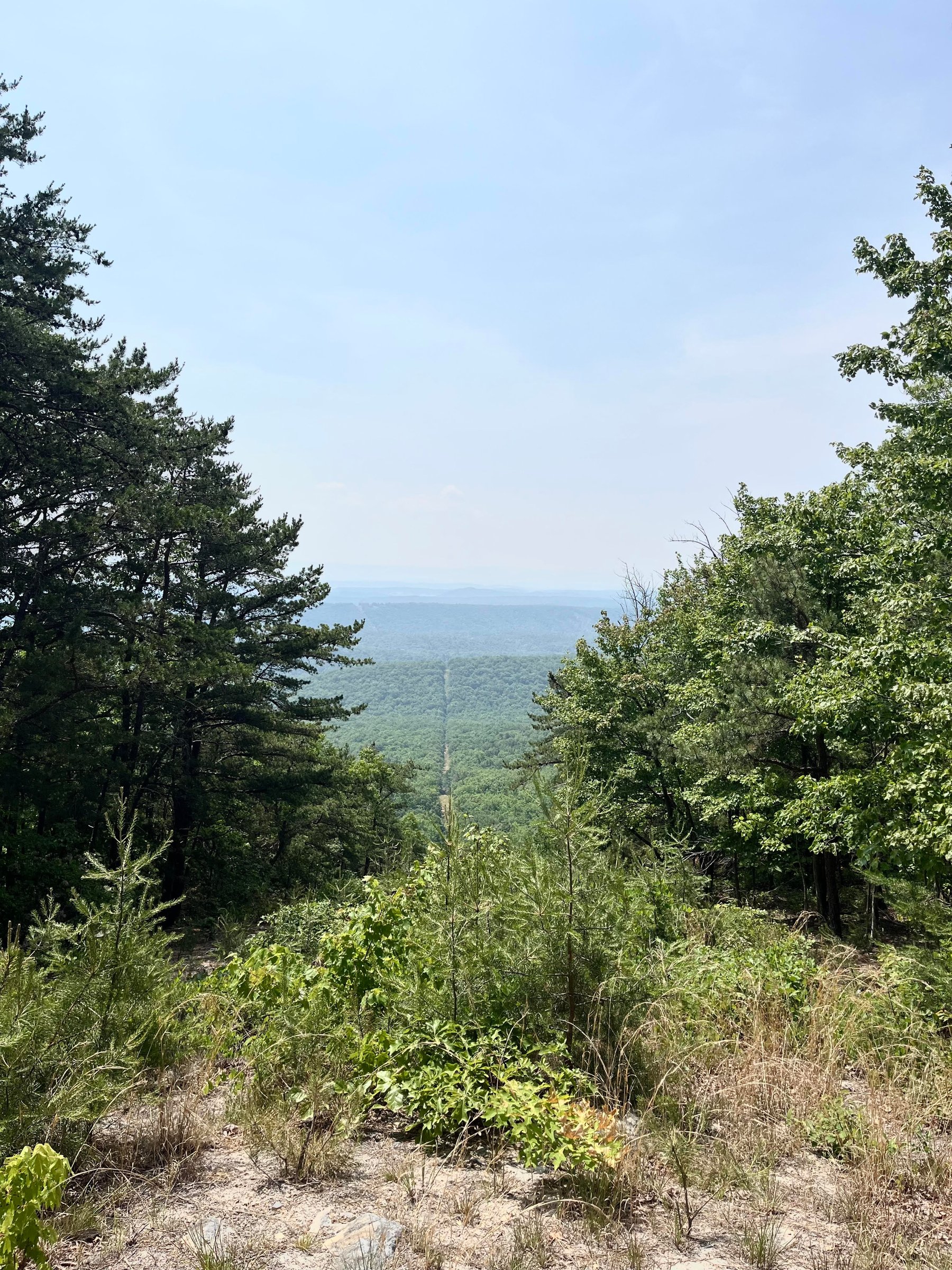mountain in Charlottesville