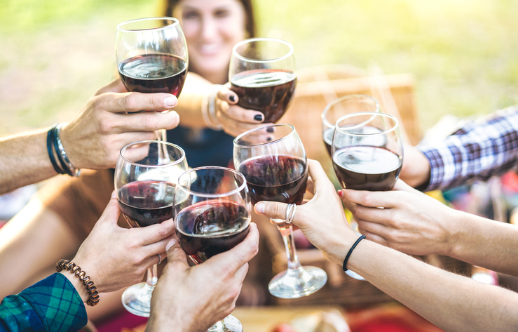 Friends enjoy a picnic at a winery