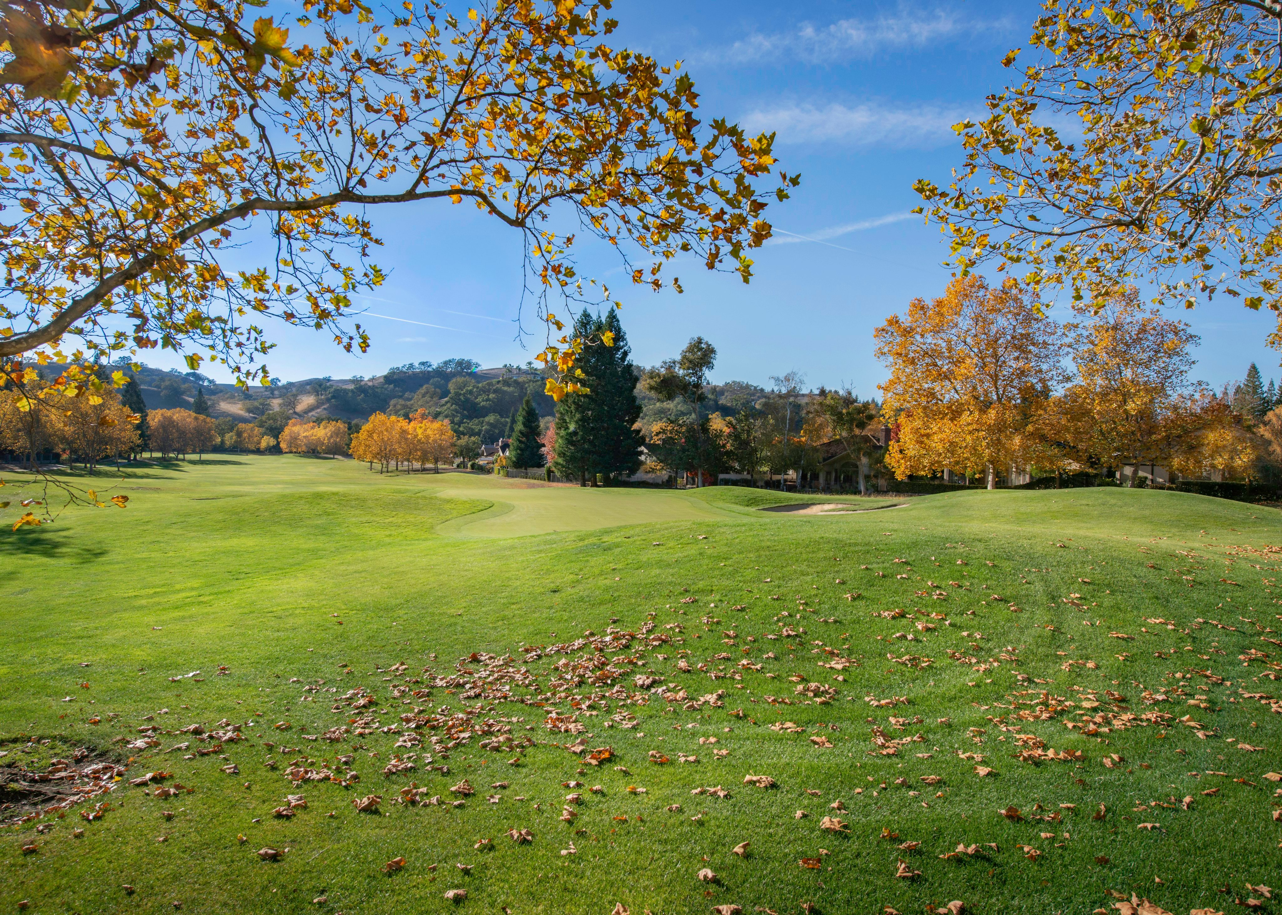Autumn golf course with tree-lined fairway
