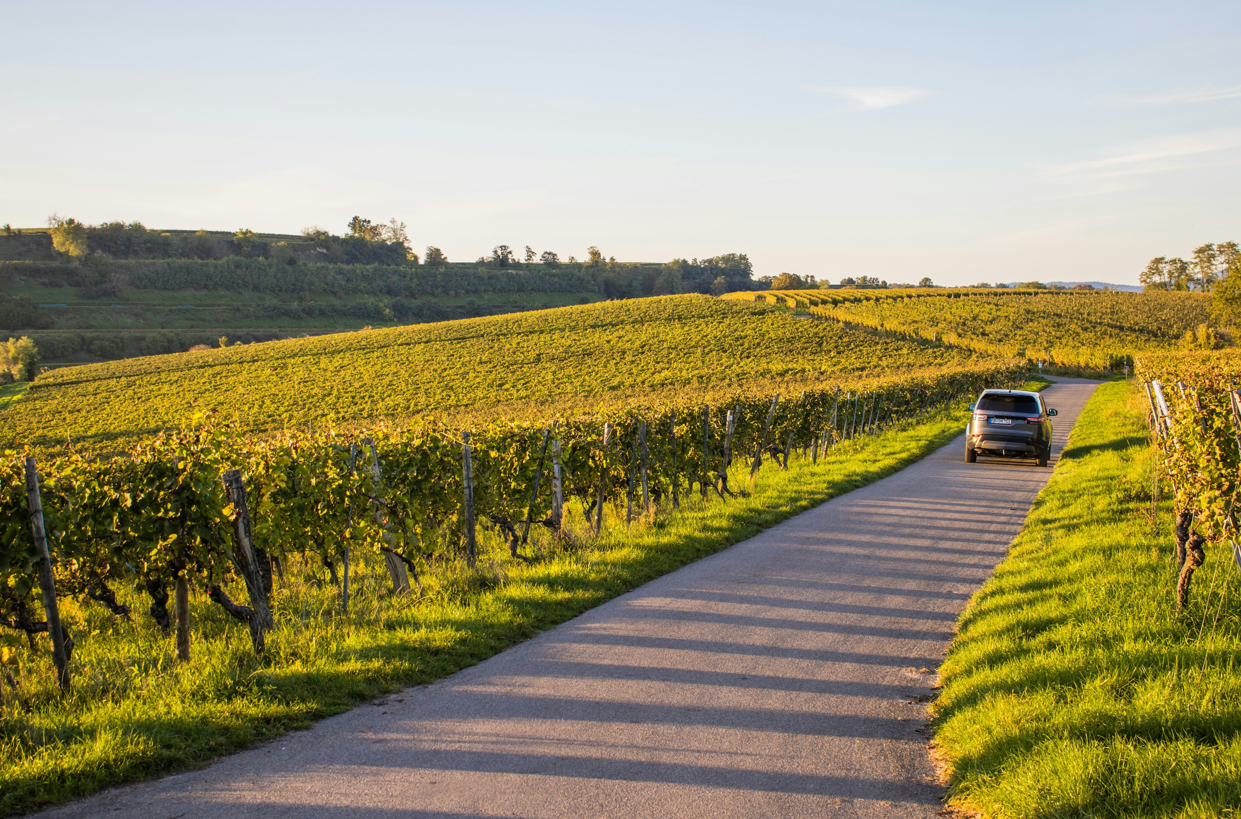 Car driving through Virginia vineyard countryside