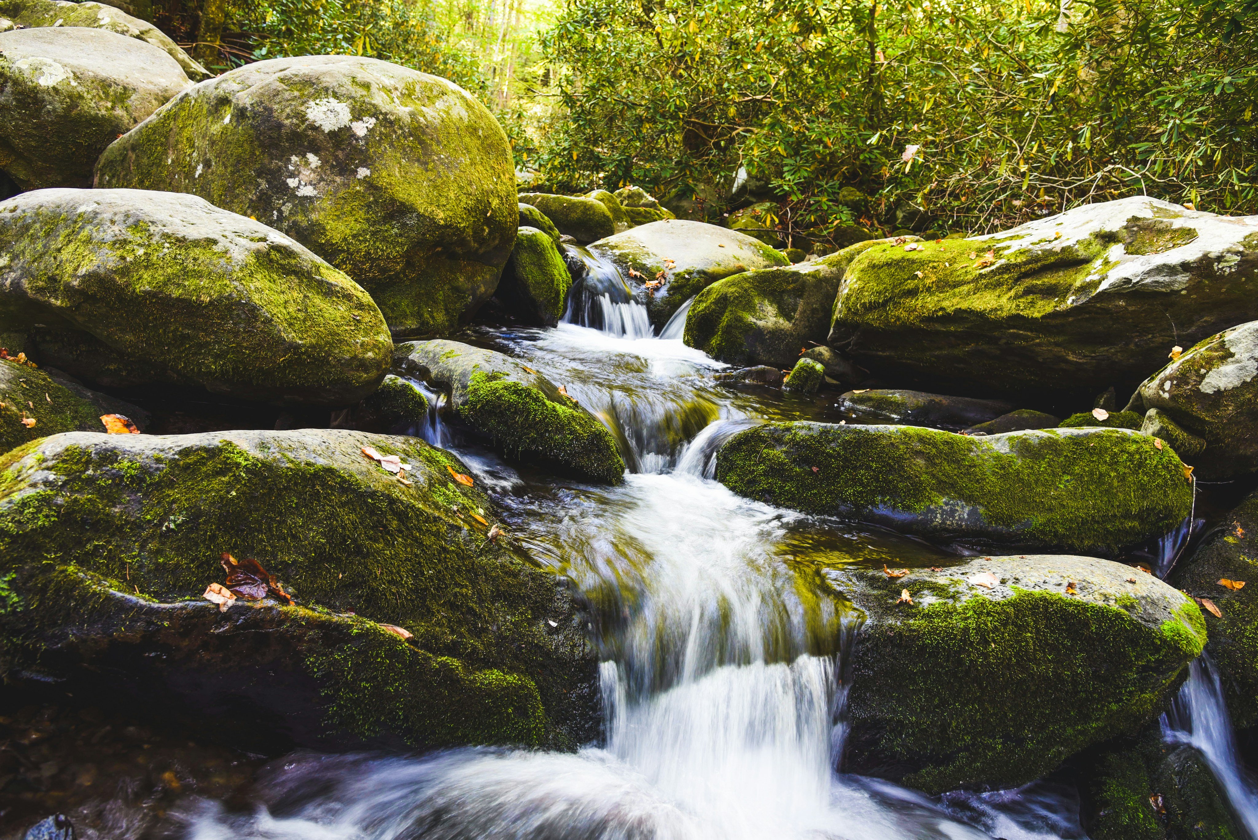 Grotto Falls mossy boulders and stream in the Smokies