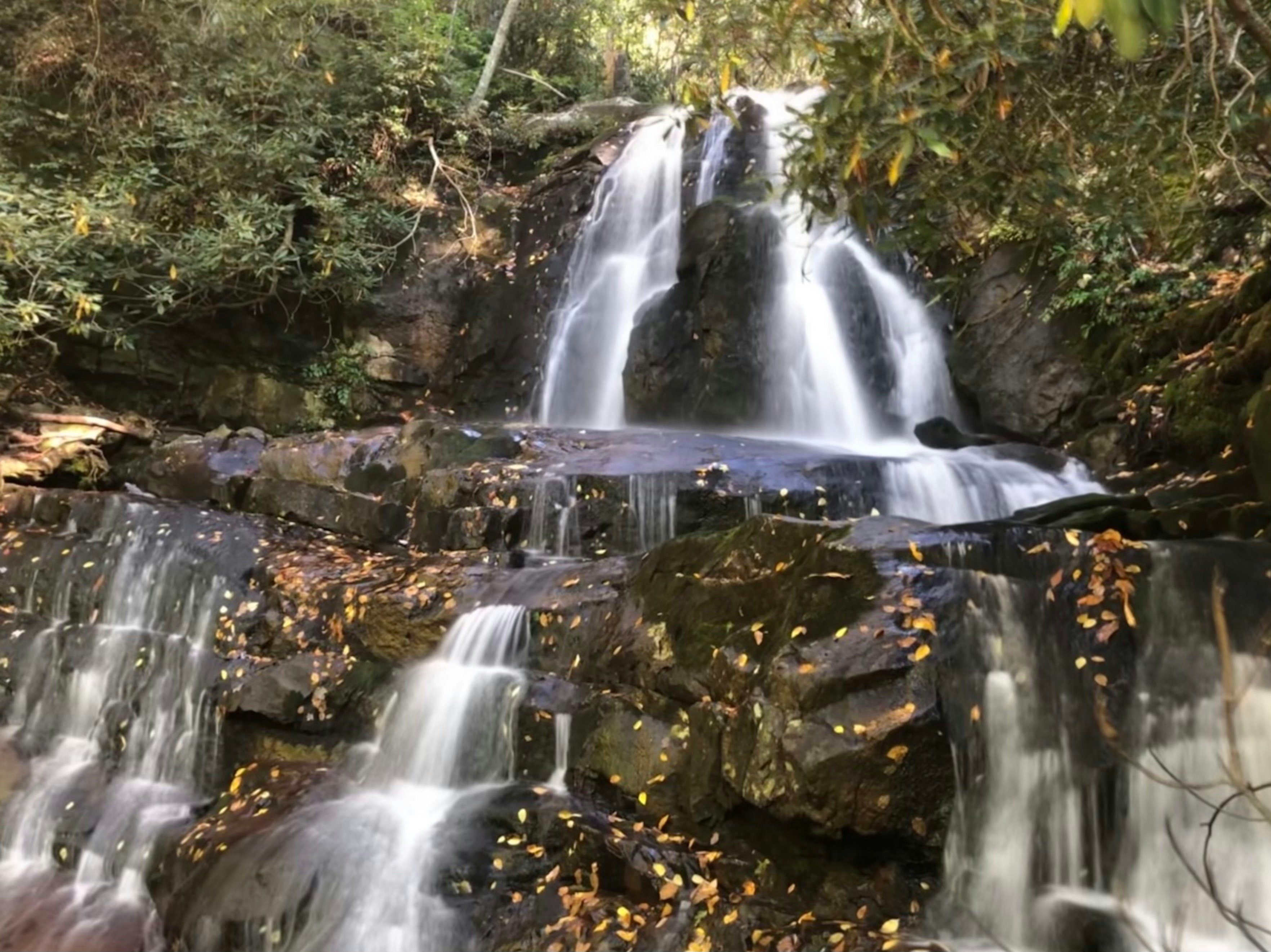Laurel Falls waterfall in Great Smoky Mountains National Park
