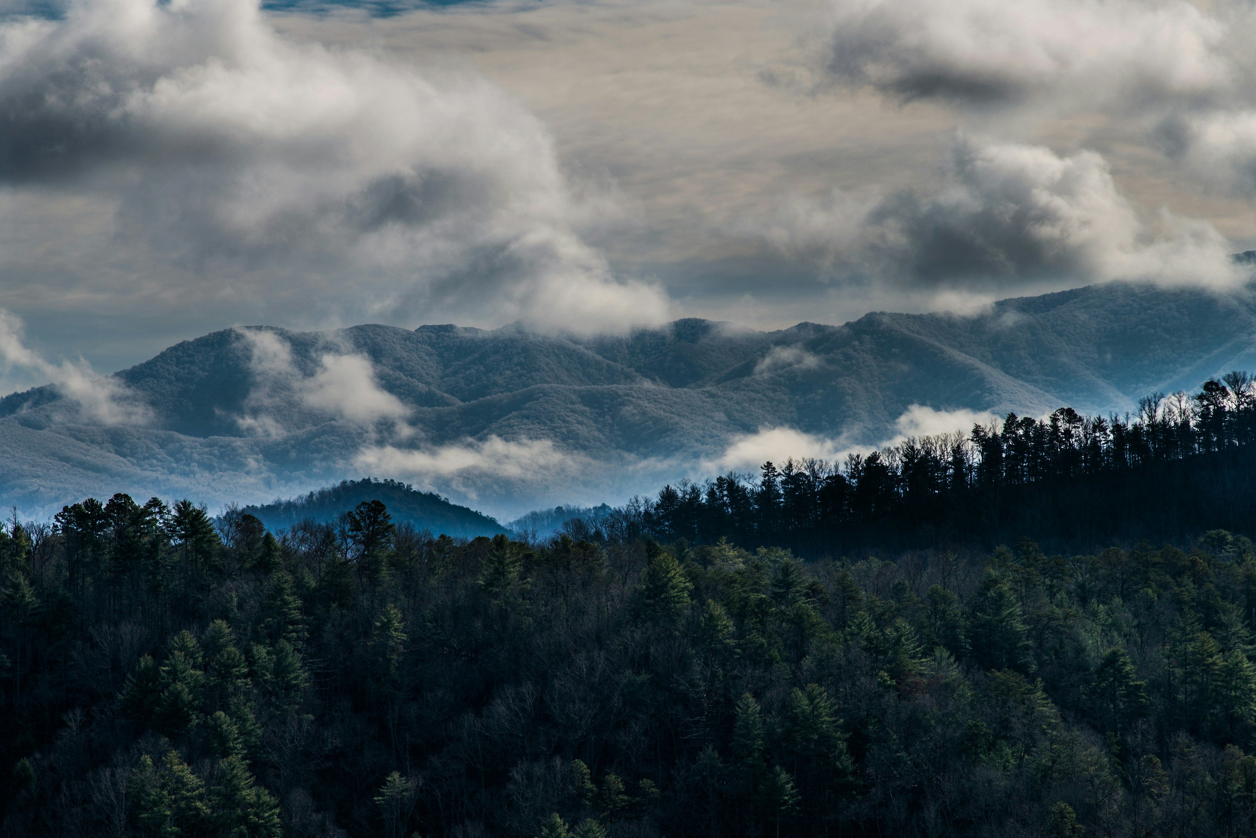 Smoky Mountains ridge and forest view from Alum Cave Trail