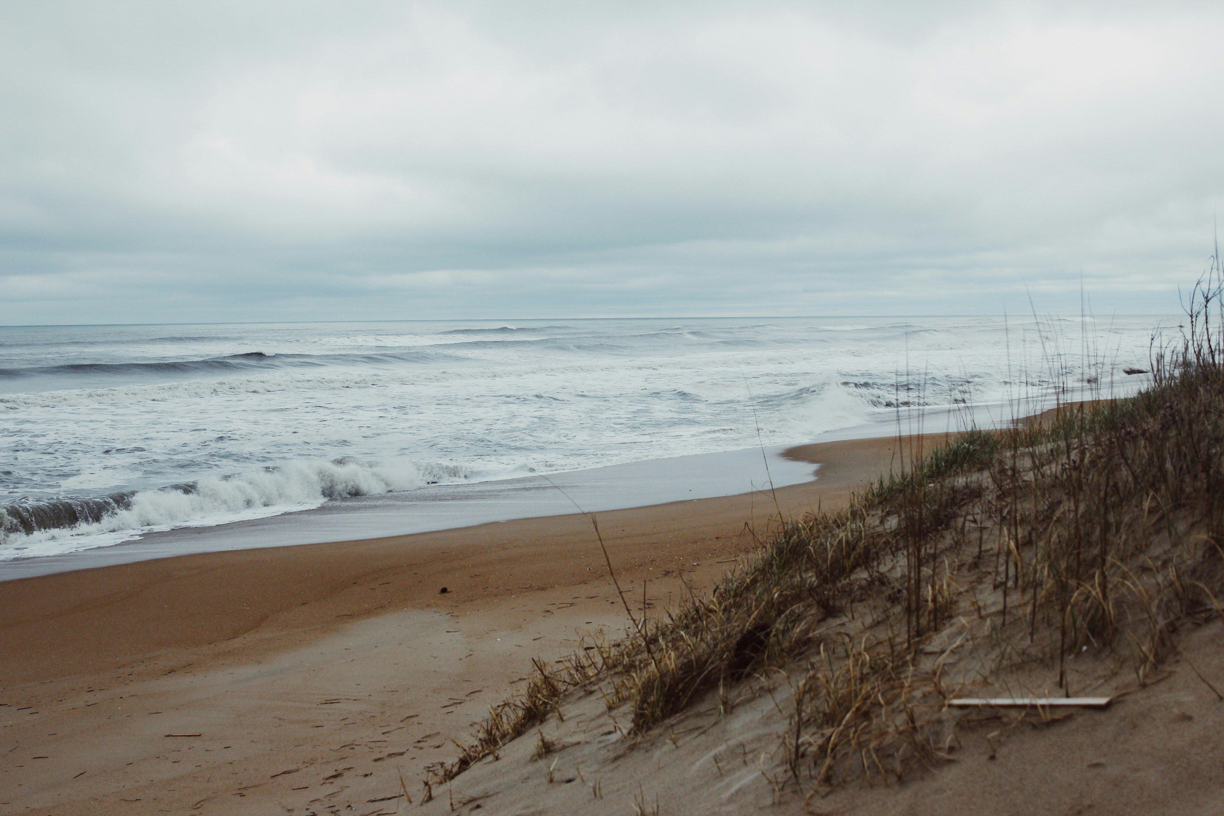Fall beach with sea oats on the Crystal Coast
