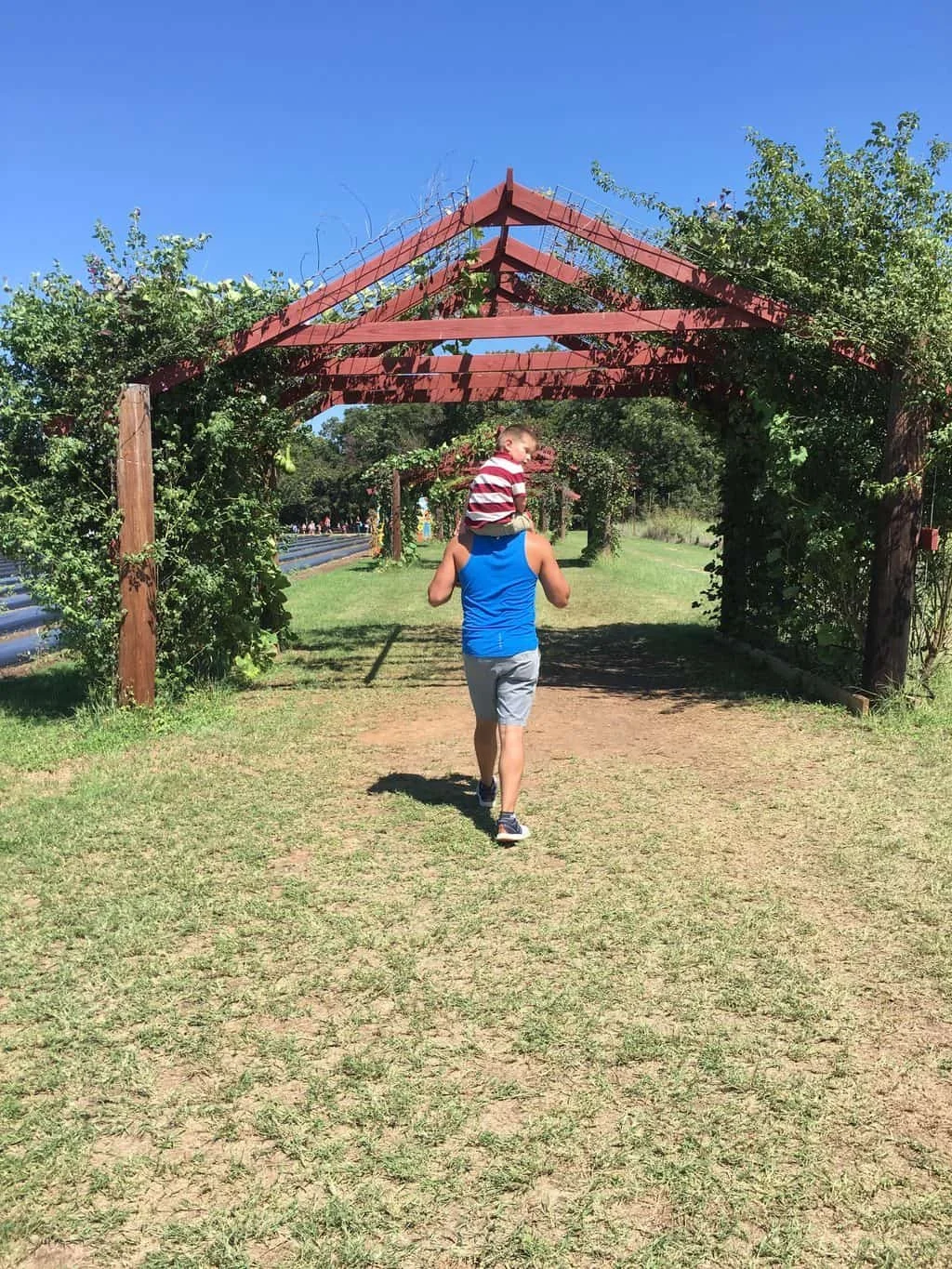 Texas-lake-family-activities.jpg