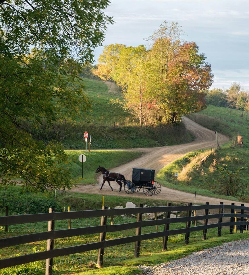 Horse-drawn buggy traveling along a peaceful country road through Ohio Amish Country surrounded by rolling farmland