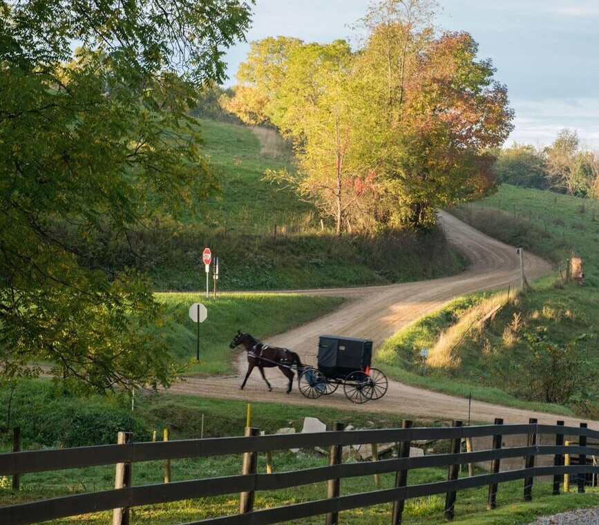 Horse-drawn buggy traveling along a peaceful country road through Ohio Amish Country surrounded by rolling farmland