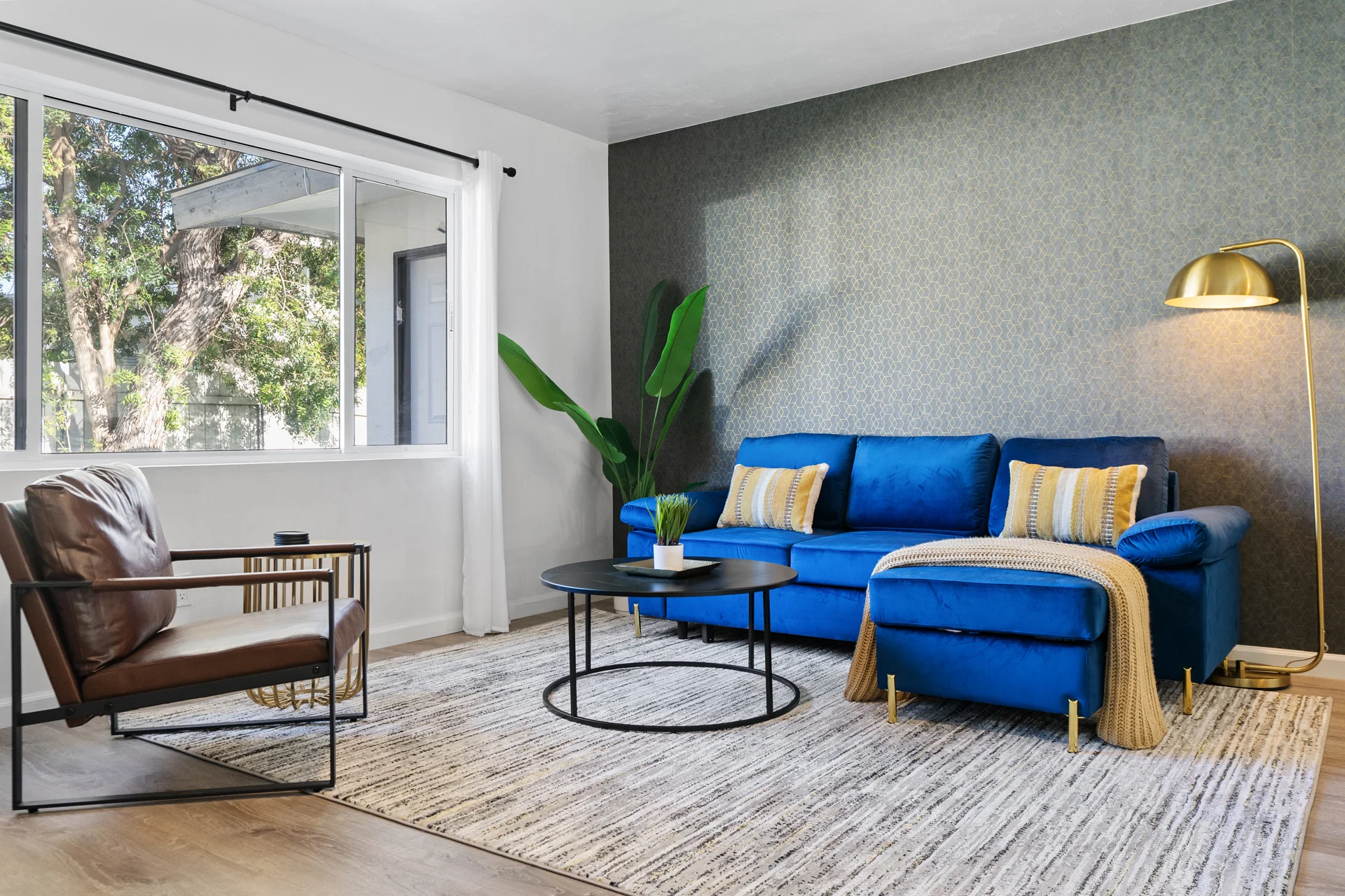 Modern living room with blue sectional sofa and natural light in San Diego vacation rental