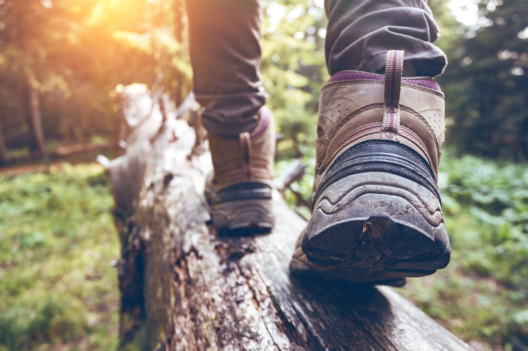 Hiking