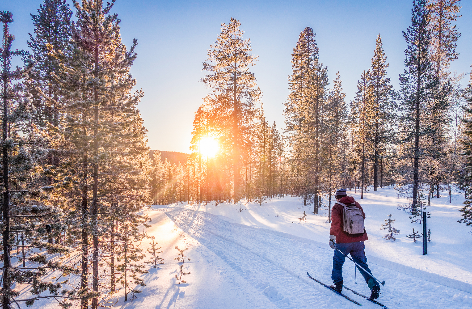 Cross-Country Skiing