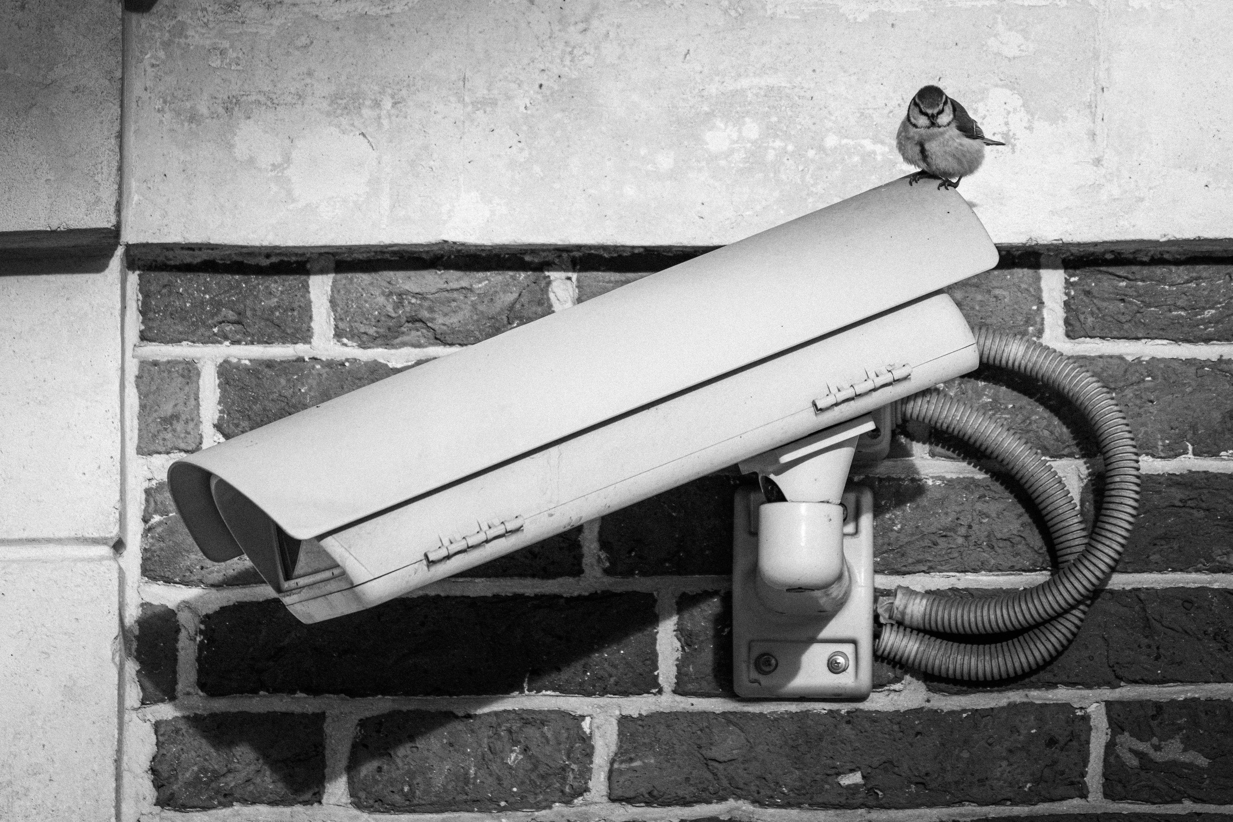Security camera on a brick wall