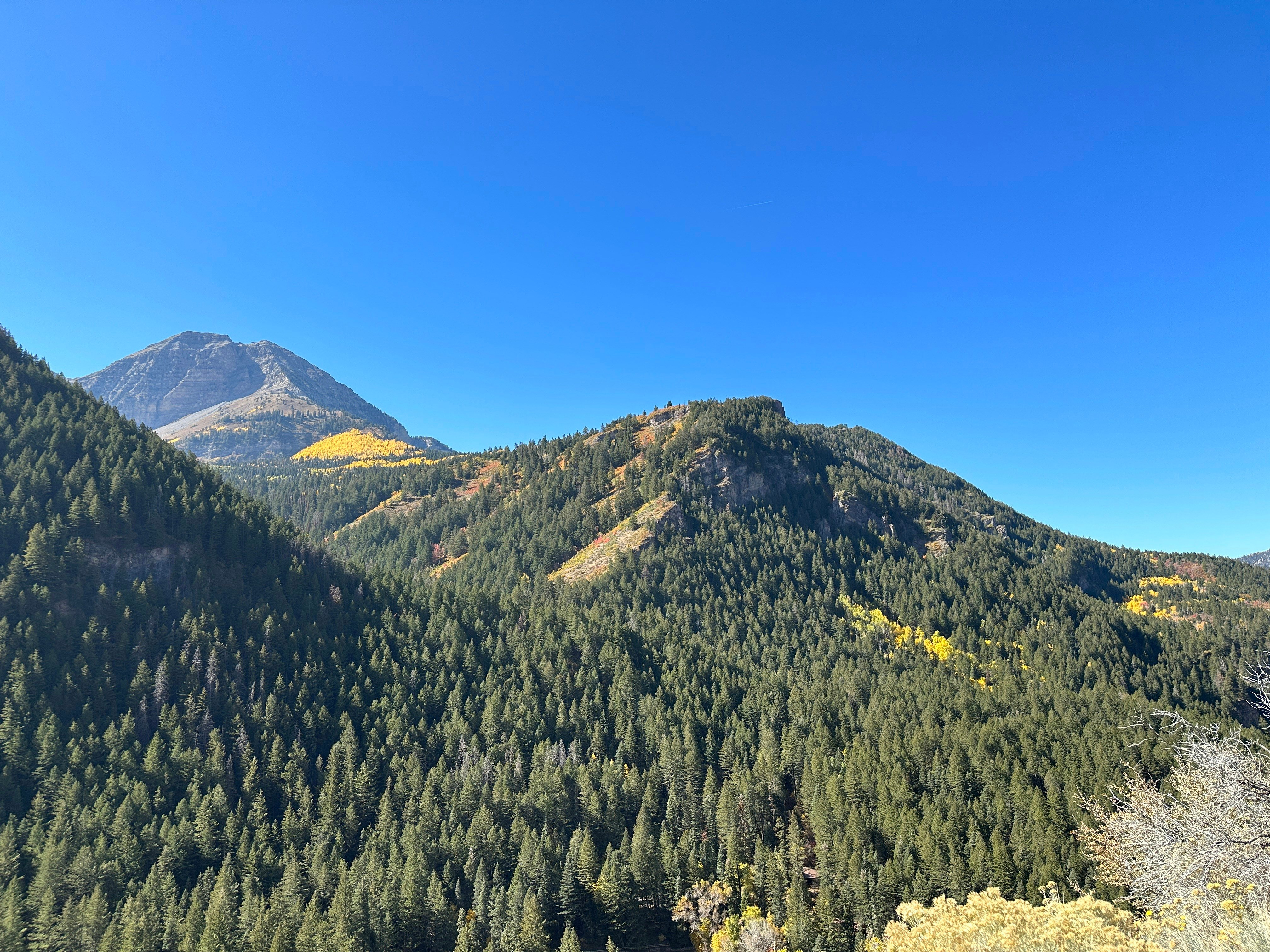 Forested hills below a mountain peak