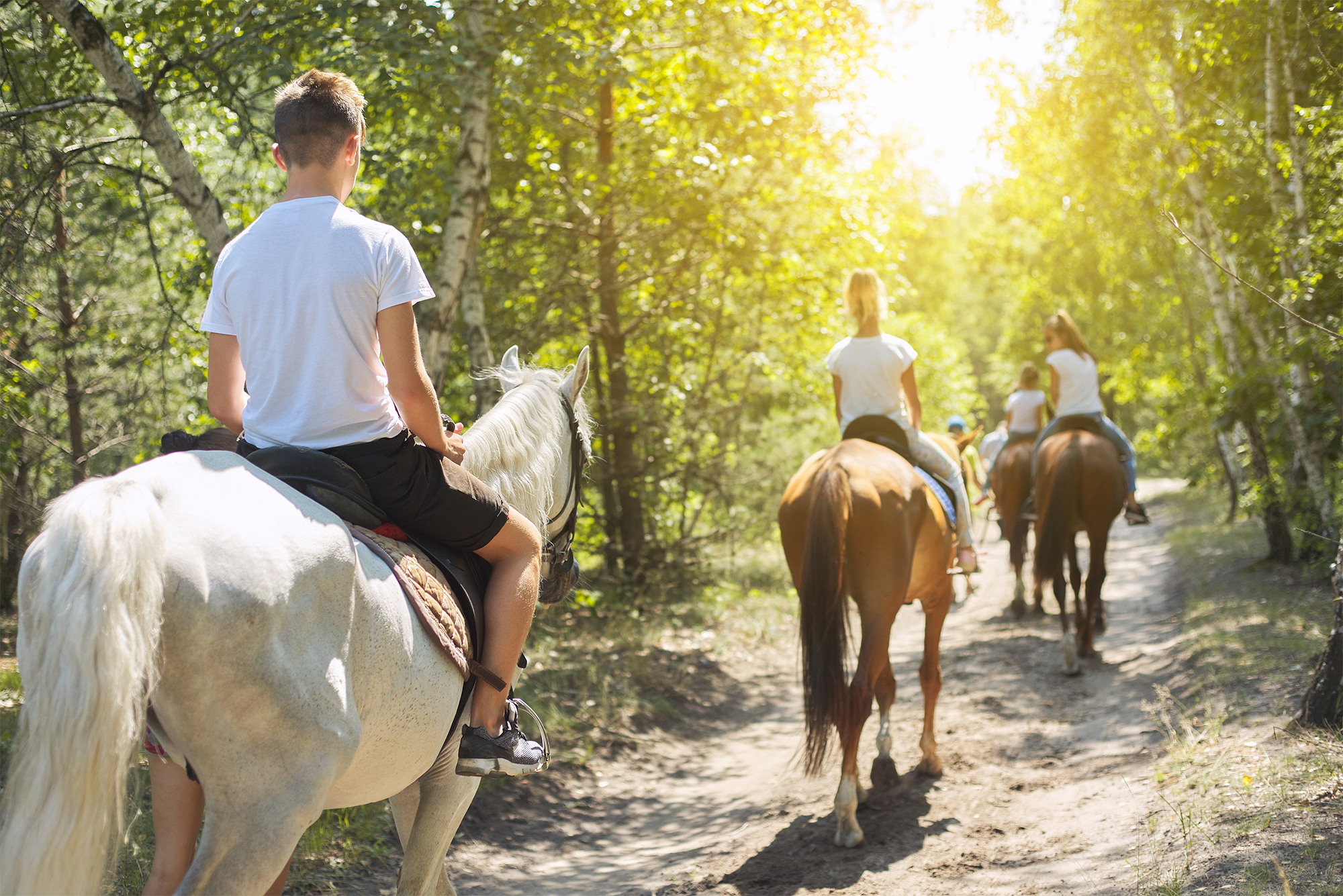 Horseback Riding
