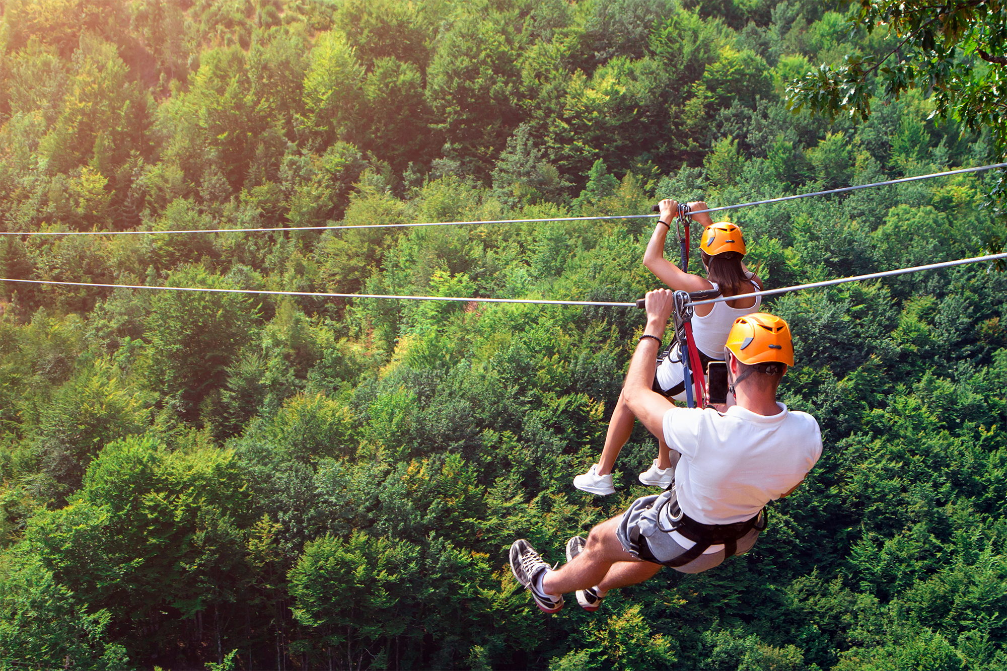 Alpine Slide, Coaster, and Zipline Tours