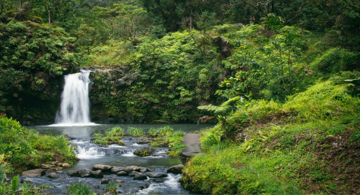Puaʻa Kaʻa Falls and stream surrounded by vibrant green tropical vegetation