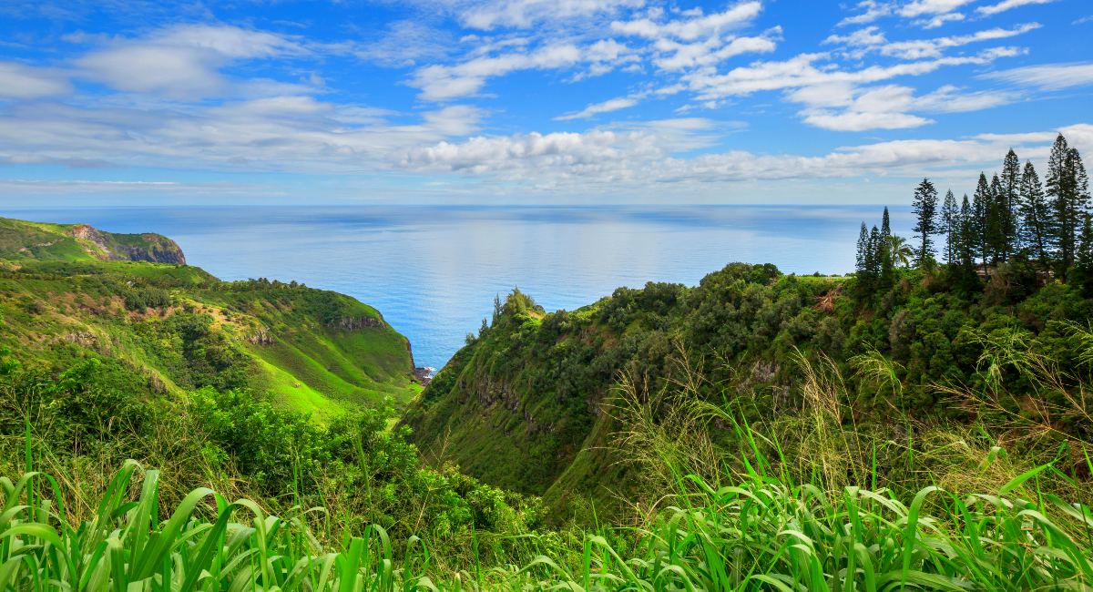 A breathtaking view depicting Spring in Maui with a vibrant green valley meeting the serene ocean. Lush foliage covers the steep valley walls, leading down to the tranquil blue water
