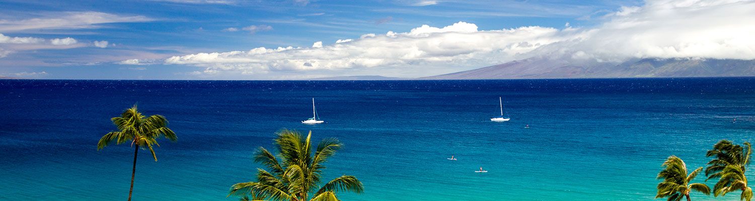 Vacation-Rentals Properties