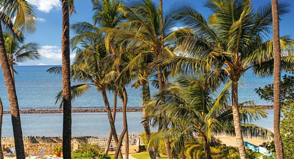 Towering palm trees and ocean views create a classic island backdrop, just steps from the shoreline in Kihei