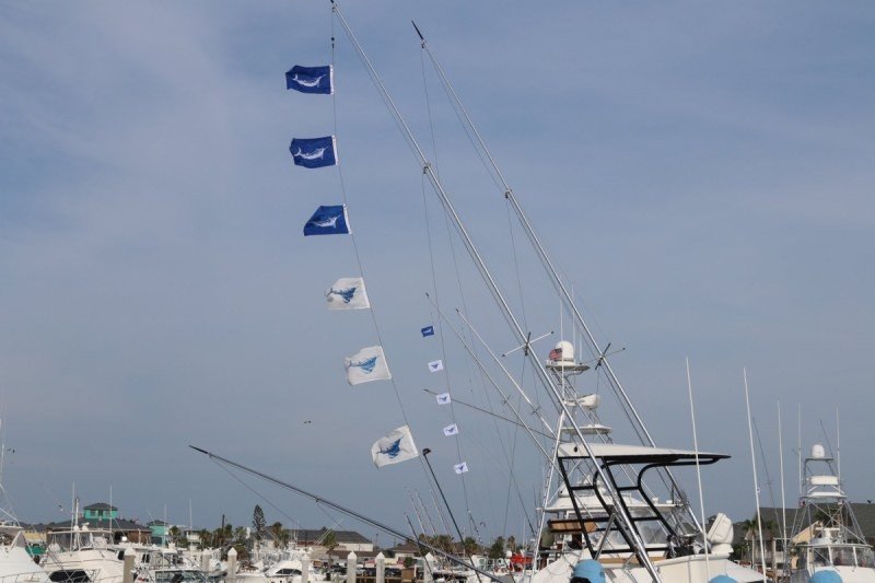 89th Deep Sea Roundup