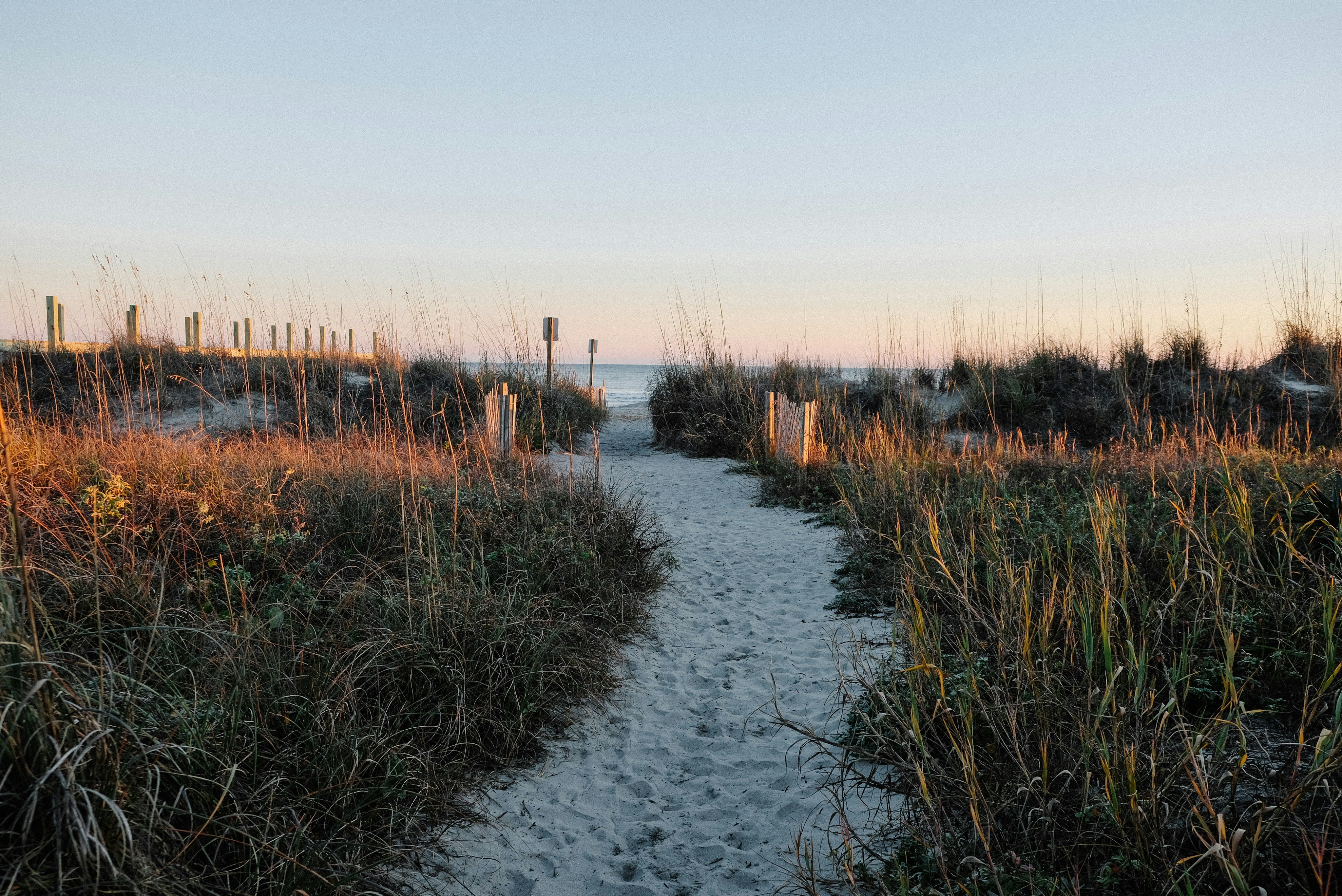 Sandy beach path through sea grass at dusk on Edisto Island