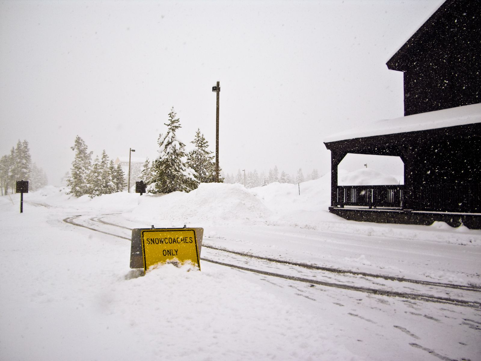 Yellowstone snowcoach trail