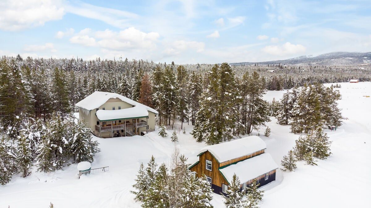 aerial view of bear den in the winter
