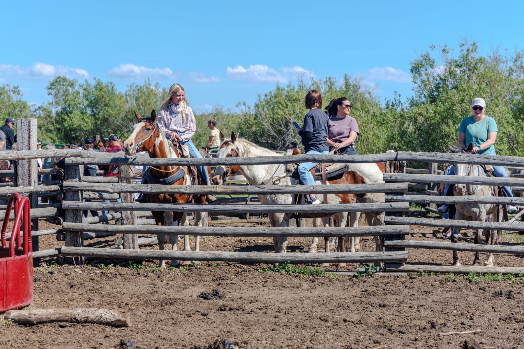 Group horseback riding in Yellowstone