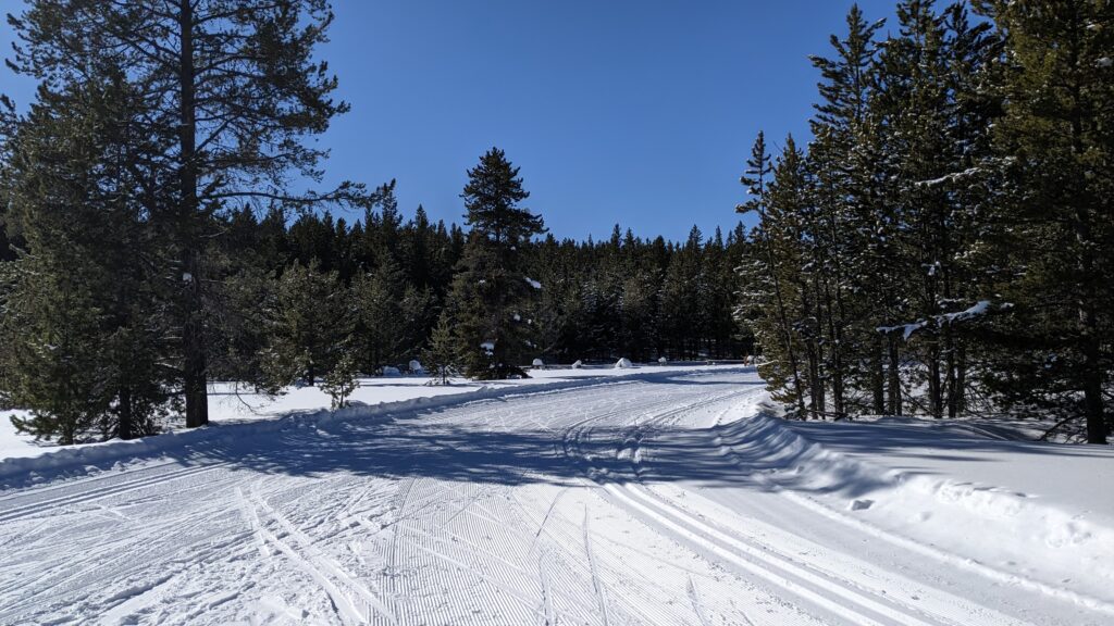 Rendezvous-Ski-Trails-trail-1024x576
